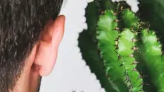 Una persona che ascolta