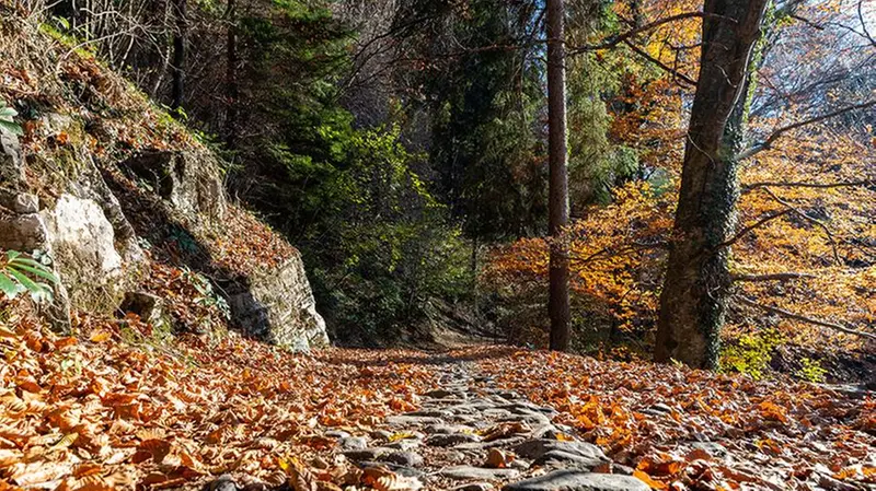 Un tratto suggestivo della via Decia, al confine montuoso tra Bergamo e Brescia