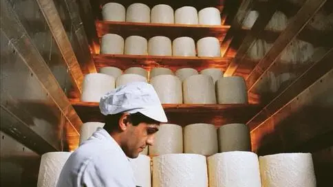 Consorzio di tutela del Pecorino Romano DOP