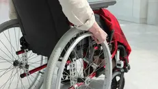 Ci sono oltre 2.800 posti per disabili in provincia © www.giornaledibrescia.it