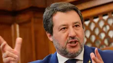 Matteo Salvini nella Sala Kock del Senato durante il convegno 'Seminando idee, coltivando proposte. Facciamo crescere l'agricoltura italiana', Roma, 15 Maggio 2025. ANSA/GIUSEPPE LAMI