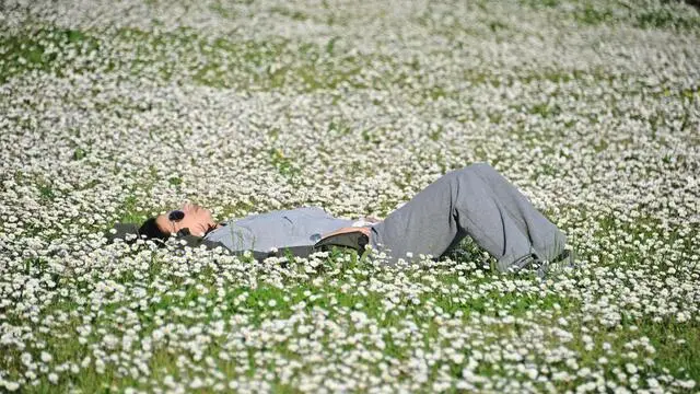 Una donna distesa in un prato si gode i primi assaggi d'estate a Firenze, 30 marzo 2014. Grazie al ritorno dell'alta pressione, questo e' un fine settimana di bel tempo sul nostro Paese, con una prevalenza di sole e temperature gradevoli vicine ai 20 gradi. ANSA/MAURIZIO DEGL'INNOCENTI
