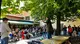 La segretaria Pd Elly Schlein a Villanuova