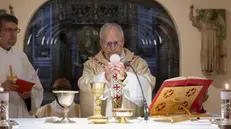 Il Papa celebra messa sulla tomba di San Pietro - Foto Ansa © www.giornaledibrescia.it