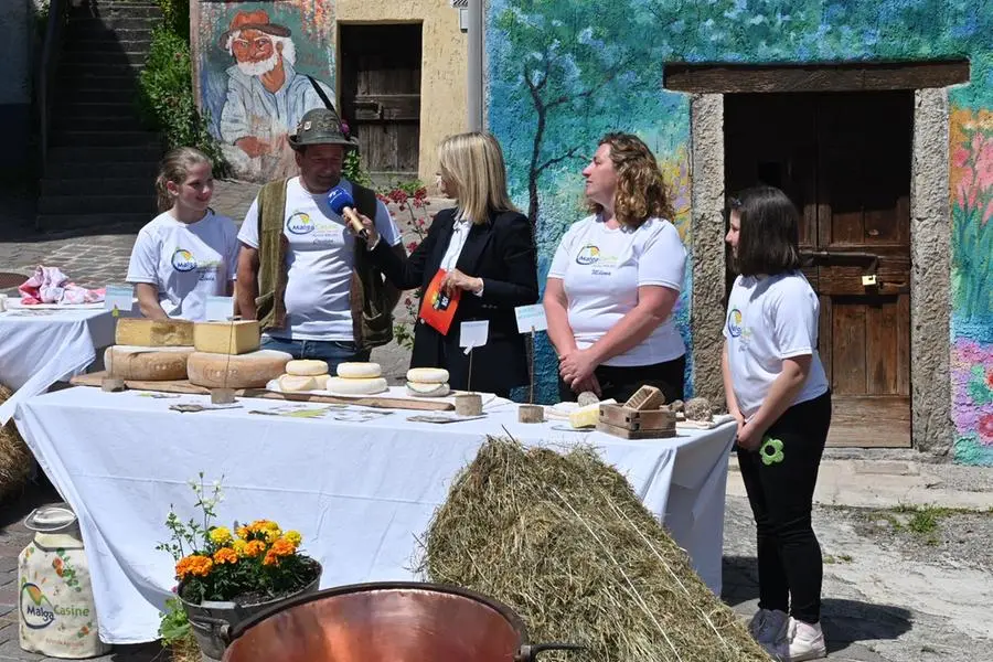 In Piazza con Noi a Belprato