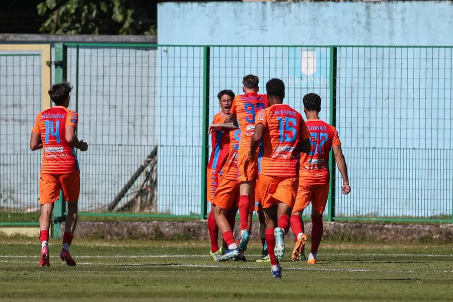 Serie D, Pro Palazzolo-Desenzano 2-1