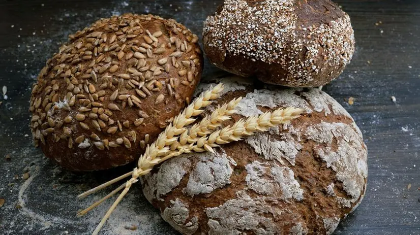 Il glutine è una proteina vegetale che agisce come un collante