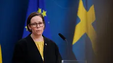 epa12108220 Swedish Foreign Minister Maria Malmer Stenergard holds a press conference on the release of journalist Joakim Medin, who has been detained in Turkey, in Stockholm, Sweden, 17 May 2025. Swedish Prime Minister Ulf Kristersson announced on 16 May on the social media platform X that Medin is on his way home from Turkey to Sweden. EPA/CAISA RASMUSSEN SWEDEN OUT
