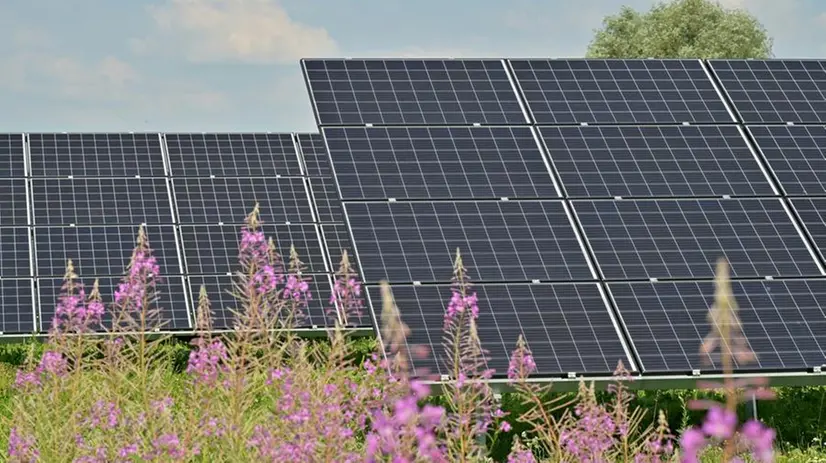 Pannelli fotovoltaici