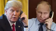 Lunga due ore la telefonata tra Trump e Putin - Foto Ansa © www.giornaledibrescia.it