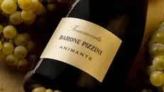 Bottiglia del vino Animante di Barone Pizzini - Foto baronepizzini.it