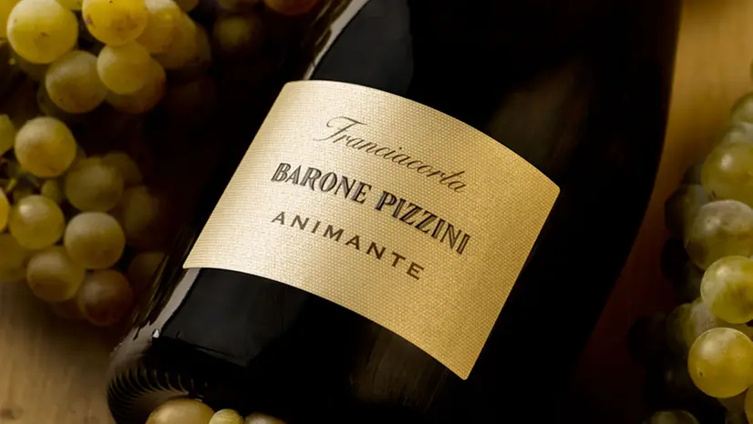 Bottiglia del vino Animante di Barone Pizzini - Foto baronepizzini.it