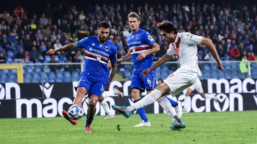 Un tiro di Borrelli nella sfida tra Sampdoria e Brescia del novembre 2024 - Foto New Reporter Comincini © www.giornaledibrescia.it