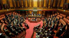 L'aula del Senato a Palazzo Madama - Foto Ansa © www.giornaledibrescia.it