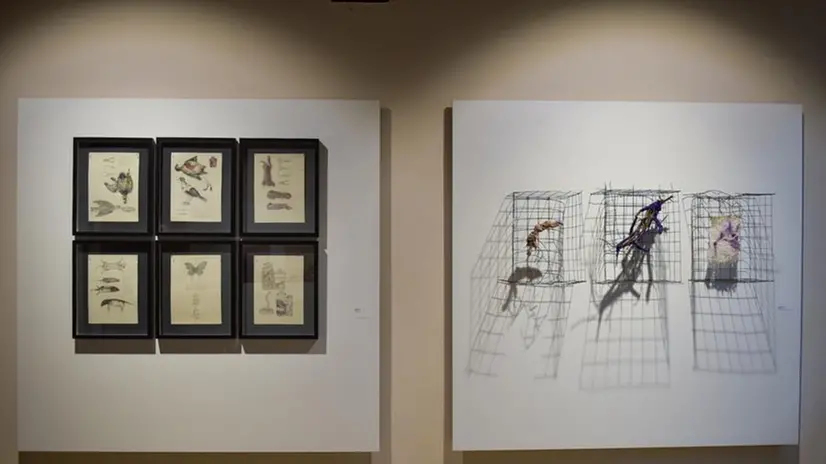 Alcune immagini dell'allestimento e della presentazione del progetto