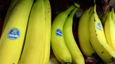Banane Chiquita in un alimentari di Pisa, 10 marzo 2014. Chiquita e l'irlandese Fyffes hanno annunciato una fusione che darà vita al nuovo colosso delle banane, con un fatturato annuo di circa 5 miliardi di dollari. ANSA/FRANCO SILVI