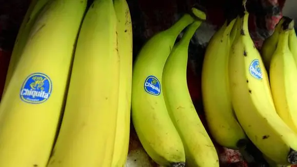 Banane Chiquita in un alimentari di Pisa, 10 marzo 2014. Chiquita e l'irlandese Fyffes hanno annunciato una fusione che darà vita al nuovo colosso delle banane, con un fatturato annuo di circa 5 miliardi di dollari. ANSA/FRANCO SILVI