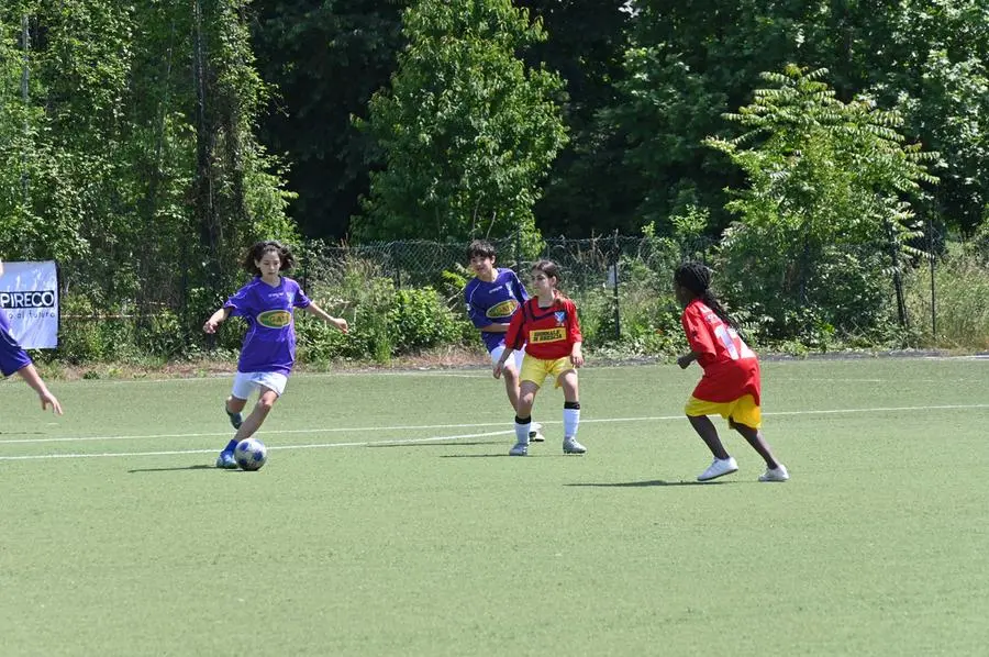 La BCF Dream Cup