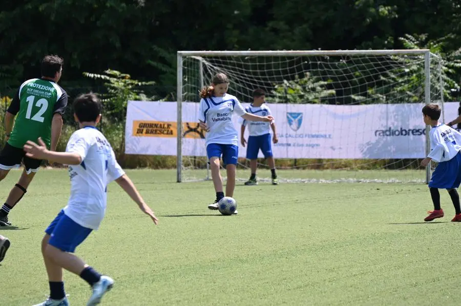 CRONACA BRESCIA SAN FRANCESCO DI PAOLA BCF DREAM CUP REDAZIONE CRONACA 24-05-2025 GABRIELE STRADA NEW EDEN GROUP                             