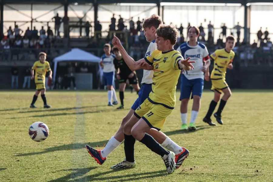 Coppa Brescia U14 Challenge, Verolese-Ciliverghe