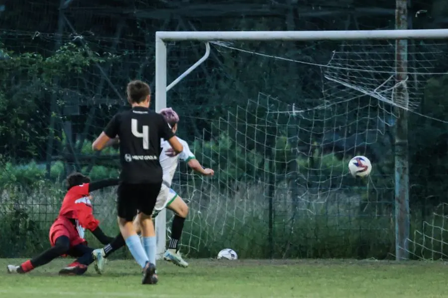 Coppa Brescia U14 Next Gen, Darfo-Vighenzi