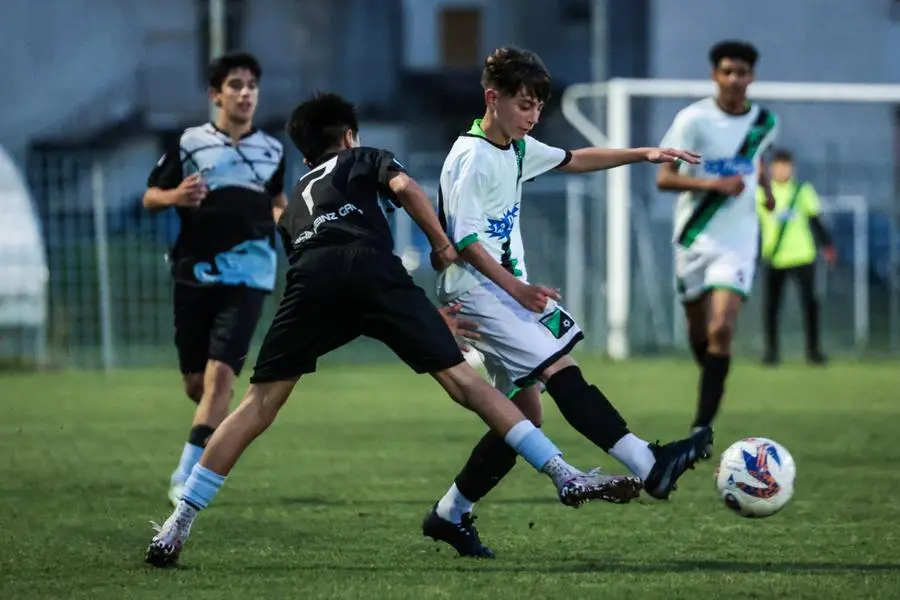 Coppa Brescia U14 Next Gen, Darfo-Vighenzi