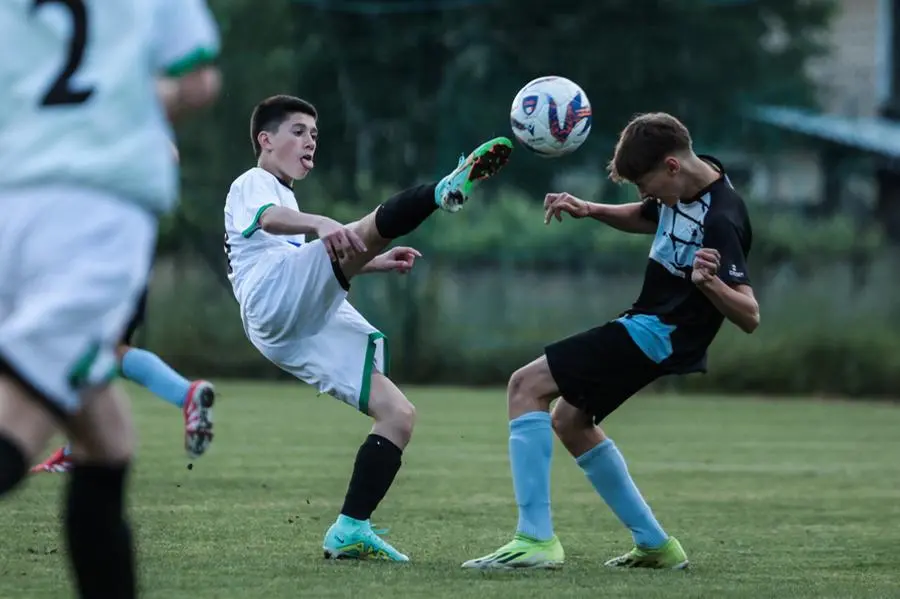 Coppa Brescia U14 Next Gen, Darfo-Vighenzi