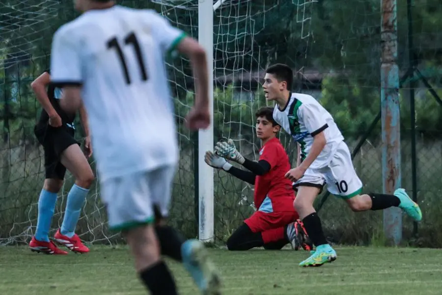 Coppa Brescia U14 Next Gen, Darfo-Vighenzi