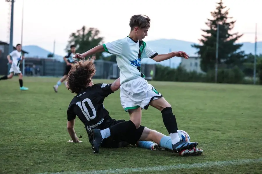 Coppa Brescia U14 Next Gen, Darfo-Vighenzi