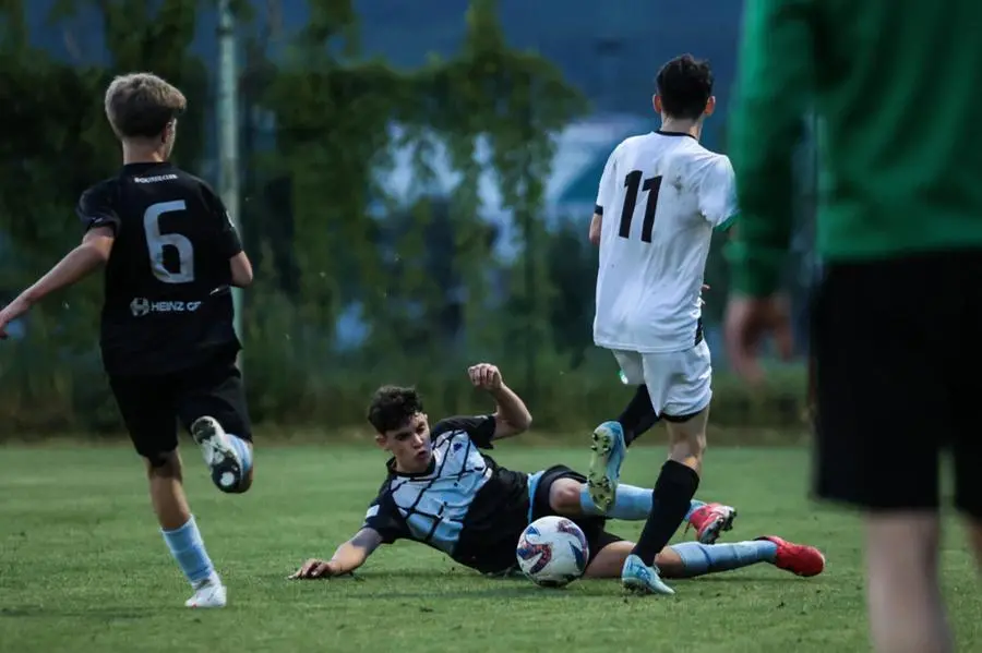 Coppa Brescia U14 Next Gen, Darfo-Vighenzi