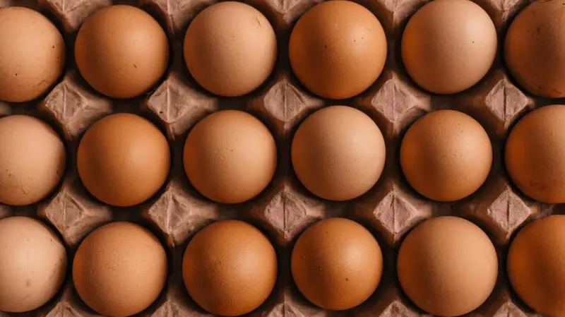 Le uova sono ricche in proteine