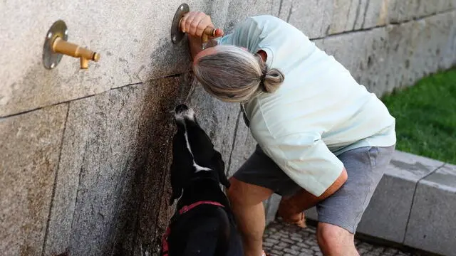 epa11539041 A man and his dog drink water from a public water tap on a day of excessive heat warning in Madrid, Spain, 09 August 2024. Spain's State Meteorological Agency (AEMET) has announced high temperatures, likely to exceed 40 degrees Celsius, in many parts of the peninsula as a new heatwave beginning on 09 August will last throughout the weekend. EPA/MARISCAL