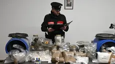 La droga sequestrata a Gardone Valtrompia