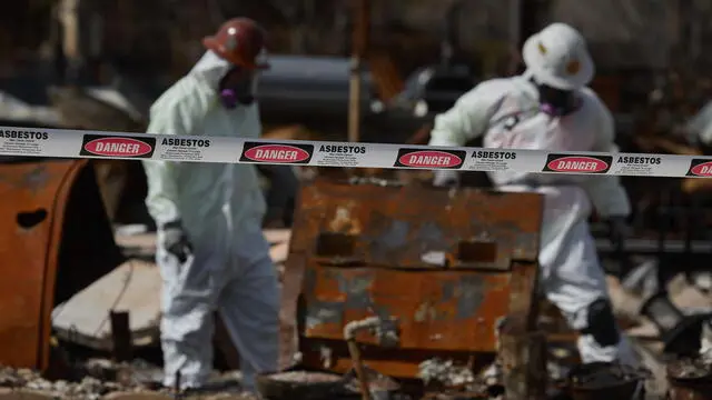 epa11954672 Workers clear asbestos from the site of a home that burned down during the Palisades wildfire in the Pacific Palisades neighborhood of Los Angeles, California, USA, 10 March 2025. More than 45 Pacific Palisades residents who were affected by January’s deadly brush fire filed a lawsuit against the City of Los Angeles and Los Angeles Department of Water and Power over the disaster, accusing the city and department of having a failed water supply system. EPA/ALLISON DINNER
