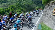 Il Giro d'Italia passa oggi in Valle Camonica