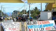 epa12139664 Banana workers block a road in Changuinola, Bocas del Toro province, Panama, 24 May 2025 (issued 28 May 2025). The government of Panama has declared a state of emergency in Bocas del Toro (Caribbean), which for weeks has been experiencing intense protests with road blockades. The country's main banana company announced mass layoffs of striking workers following multimillion-dollar losses. EPA/Diubanes Robles