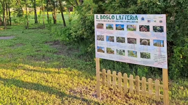 L'oasi si trova tra le vie di San Giovanni Bosco e Roversi
