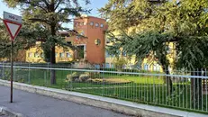 Una parte del verde di cui si prenderanno cura i ragazzi
