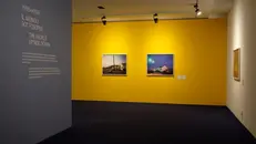 Le Collezioni della città visitabili fino alle 19