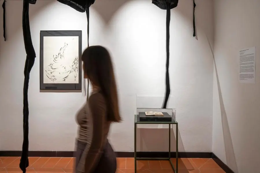 Mostra Homo Viator