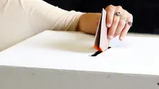 Si vota l'8 e il 9 giugno - Foto Ansa © www.giornaledibrescia.it