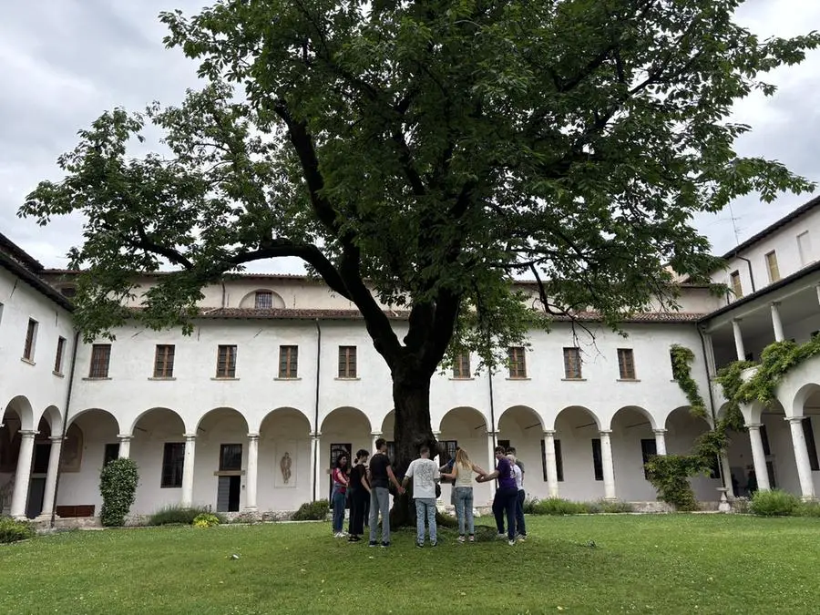 La raccolta delle ciliegie al Museo Diocesano