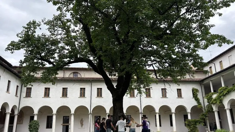 La raccolta delle ciliegie al Museo Diocesano