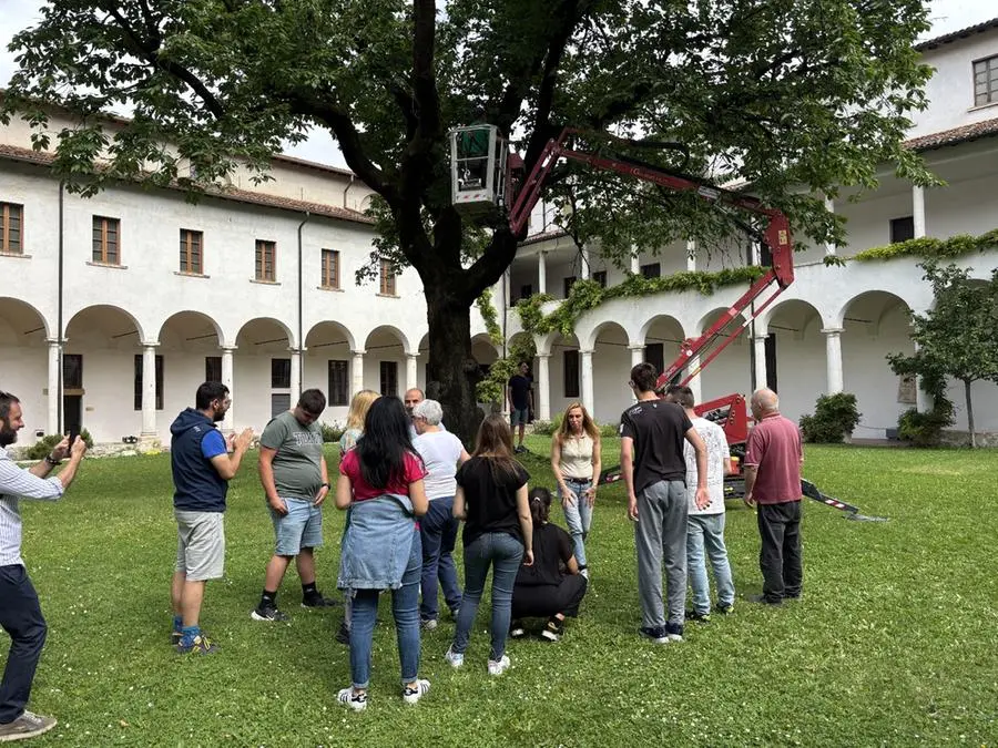 La raccolta delle ciliegie al Museo Diocesano