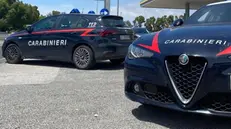 Sono intervenuti i carabinieri - Foto Ansa © www.giornaledibrescia.it