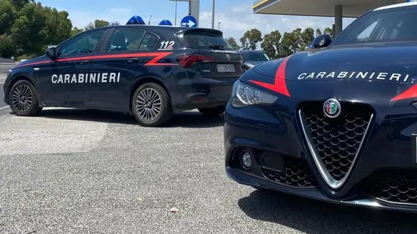 Sono intervenuti i carabinieri - Foto Ansa © www.giornaledibrescia.it