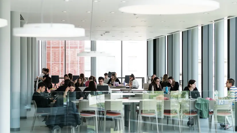 Studenti in aula studio in Università Cattolica