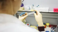 Provette per test sanguigni in laboratorio