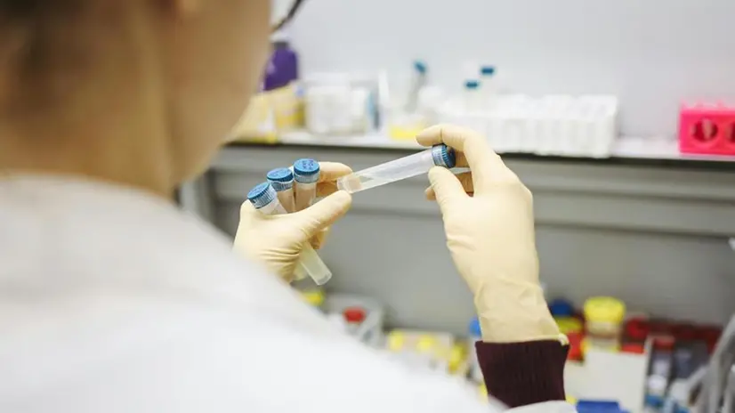 Provette per test sanguigni in laboratorio