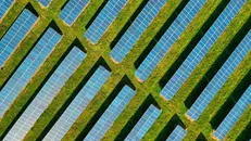 I pannelli solari, simbolo di un'energia pulita